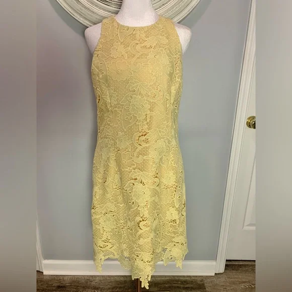 Petite Women's Eliza J Lace Sheath Dress, Size 6P - Yellow
